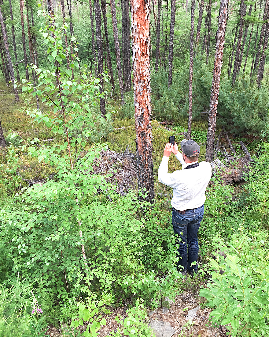 Jan-Erik photographing larch