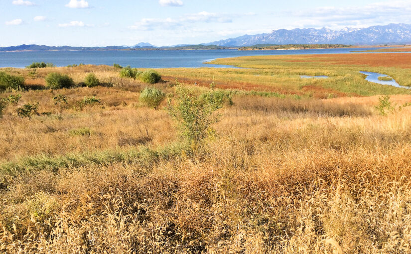 The Thrill of Birding in China: Beijing