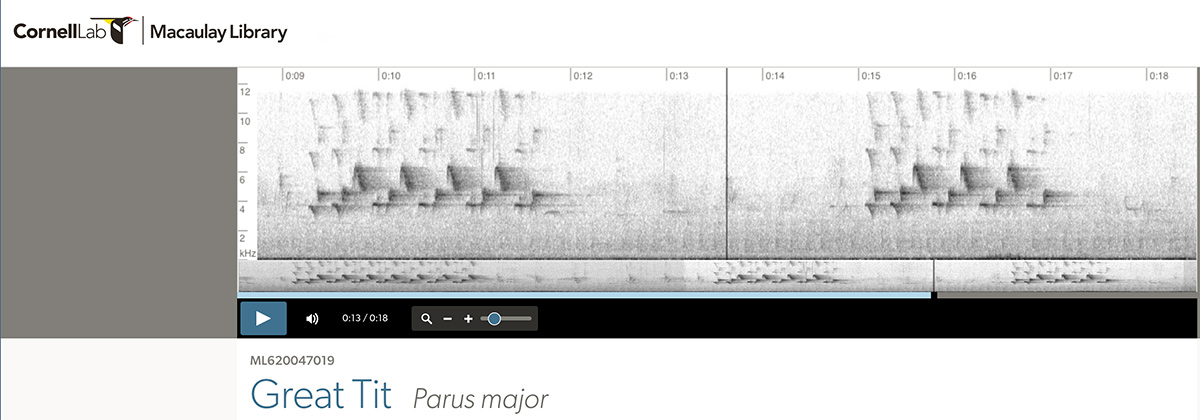 screenshot of Great Tit spectrogram